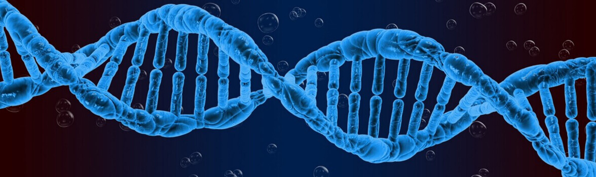 genetic engineering ethics essay